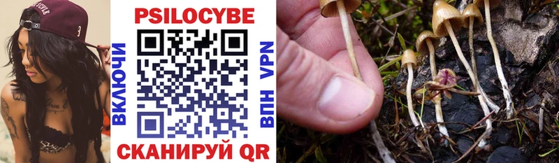 кракен Няндома Псилоцибиновые грибы Psilocybe